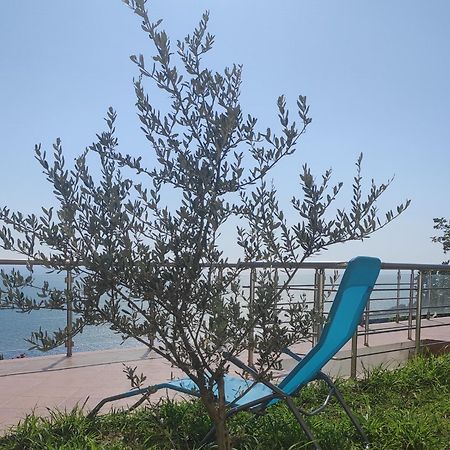 Apartment Oliva Ulcinj Exteriér fotografie